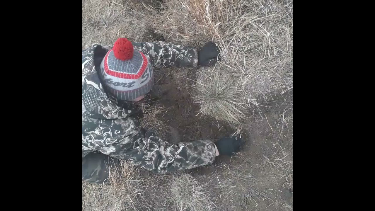 Очередная установка капканов на Барсука.