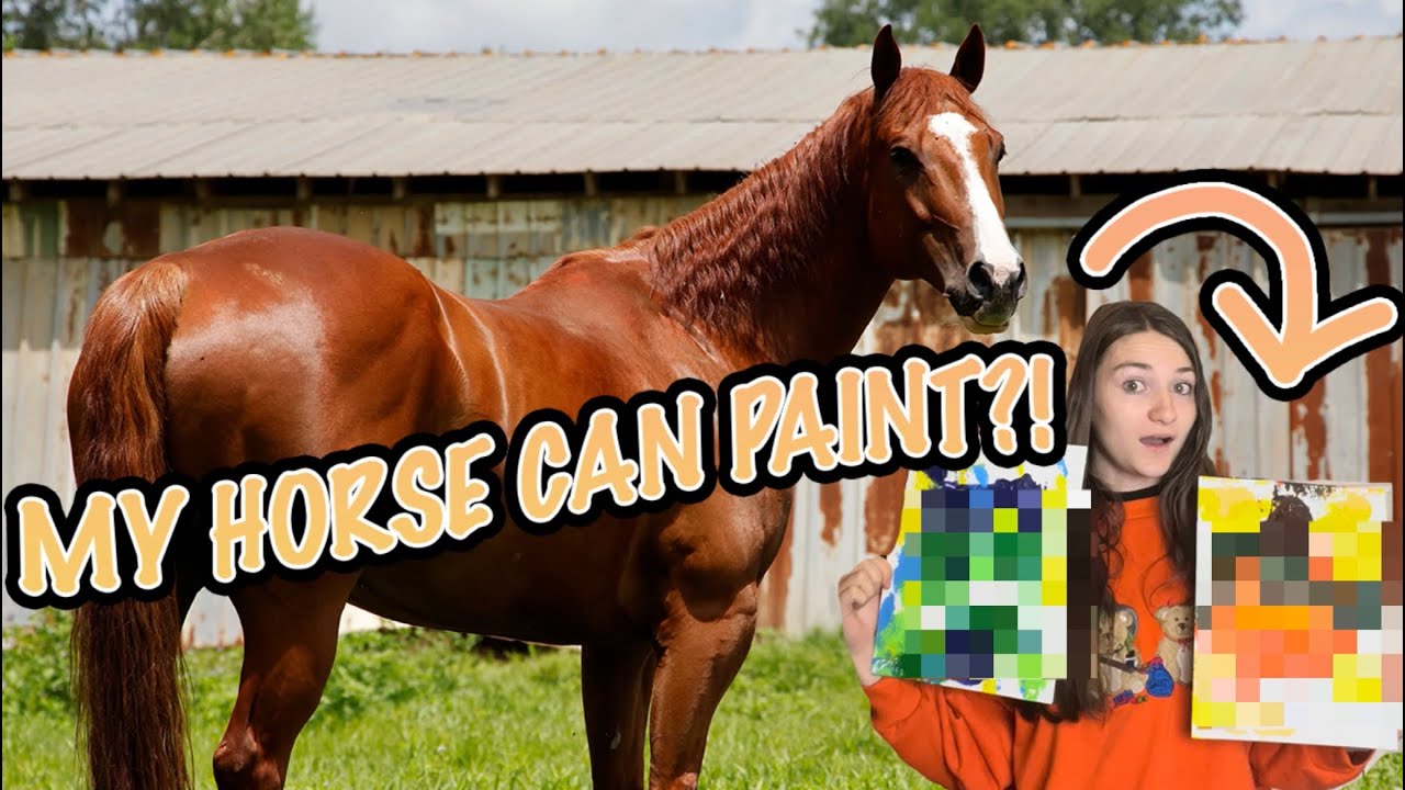MY HORSE CAN PAINT?!