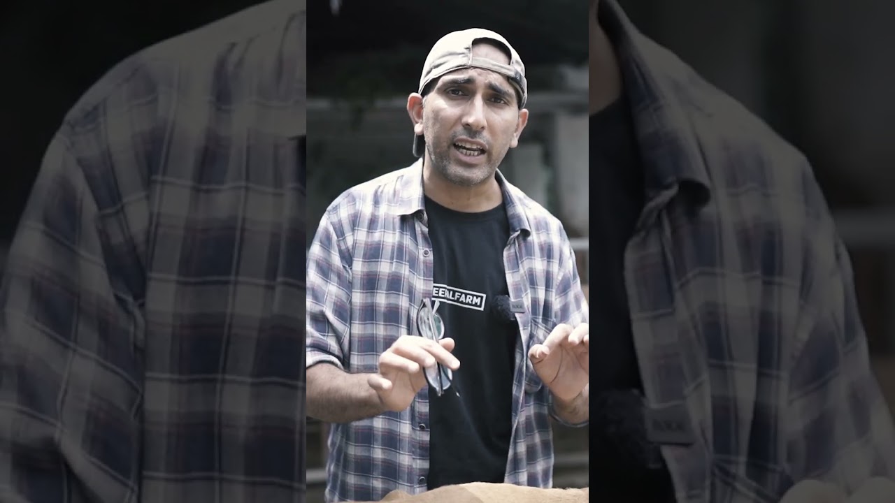 Lumpy Skin Disease | Gai bailon ka bura haal