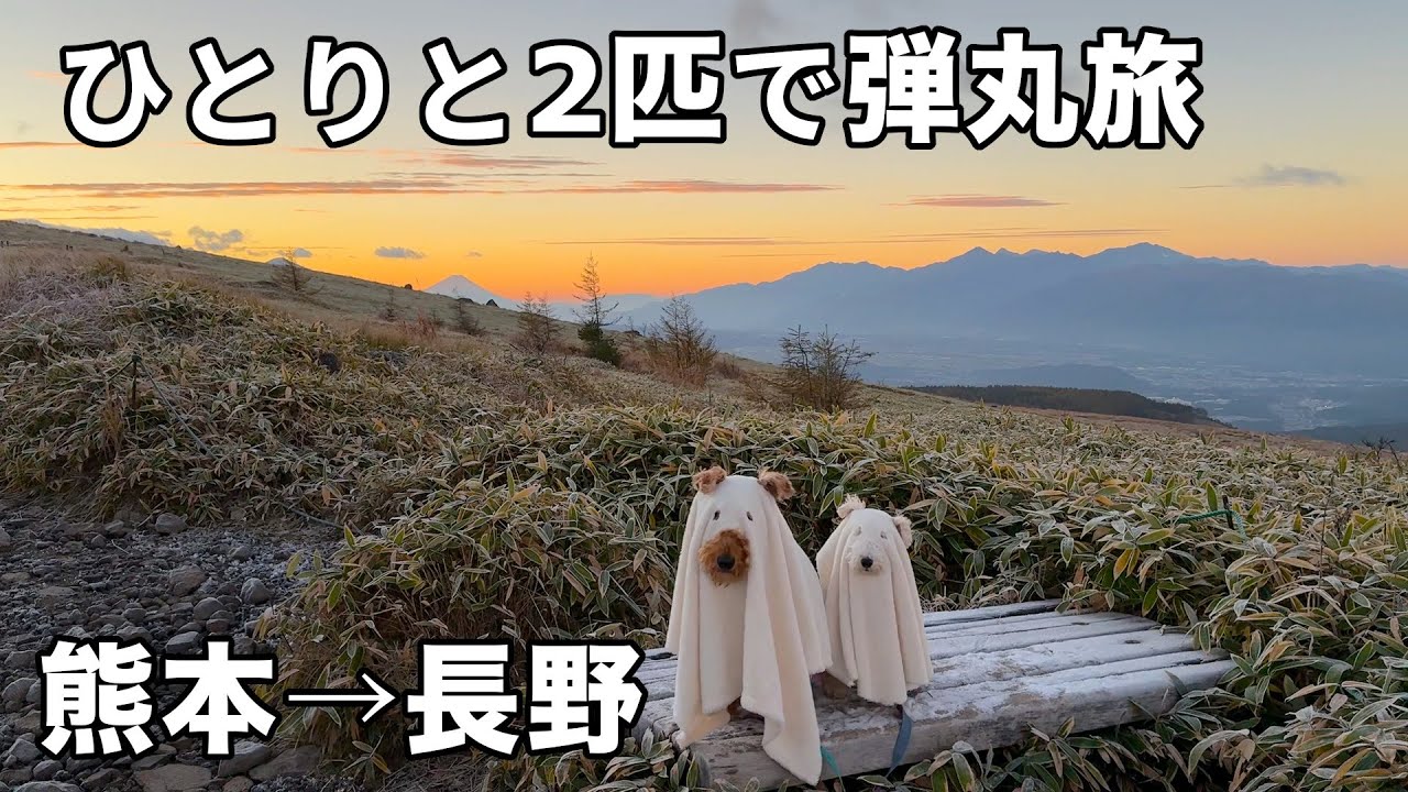 女ひとりぼっち車中泊旅で愛犬と長野へ弾丸旅［前編］