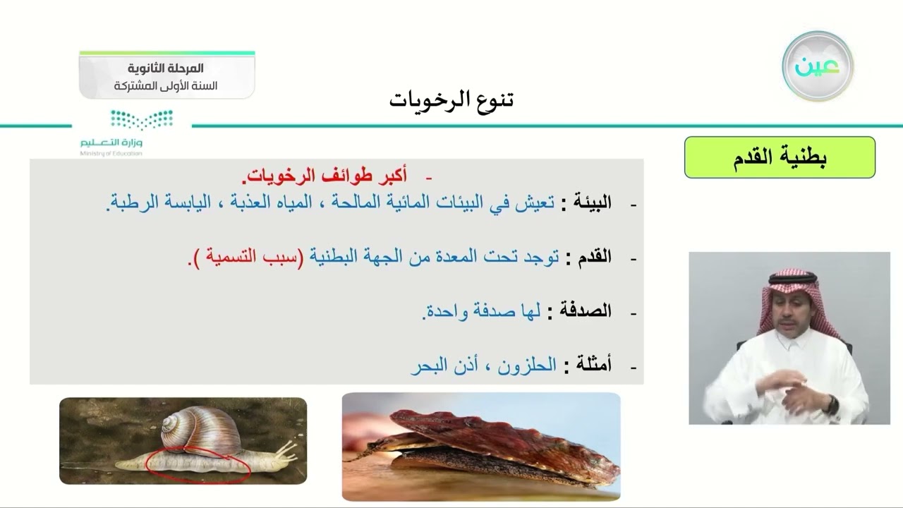تنوع الرخويات - أحياء (1) - السنة الأولى المشتركة