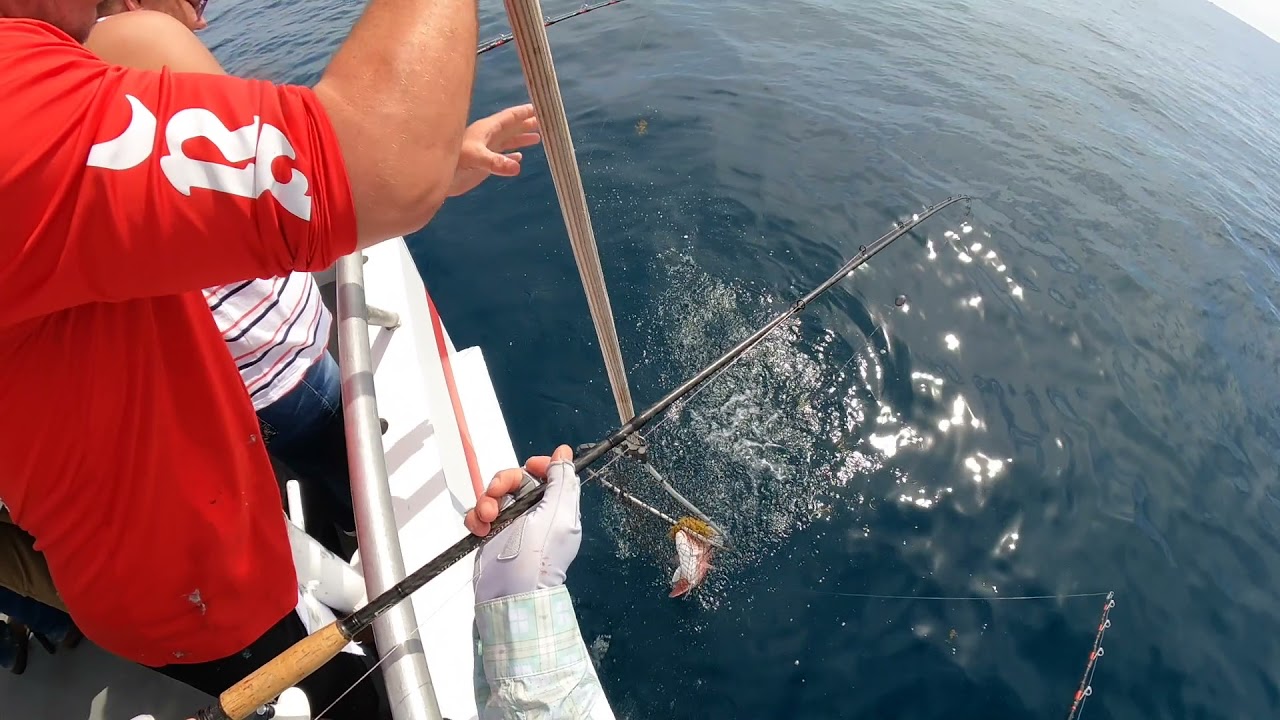 2021 Slow Summer Fishing and Short Red Snapper Season - Orlando Princess/Canaveral Princess, Florida