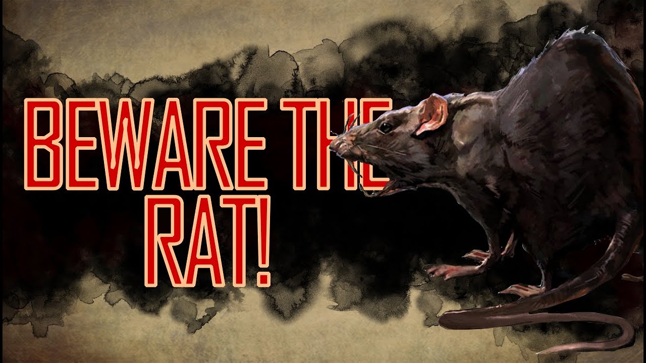 Rats in Folklore and Mythology