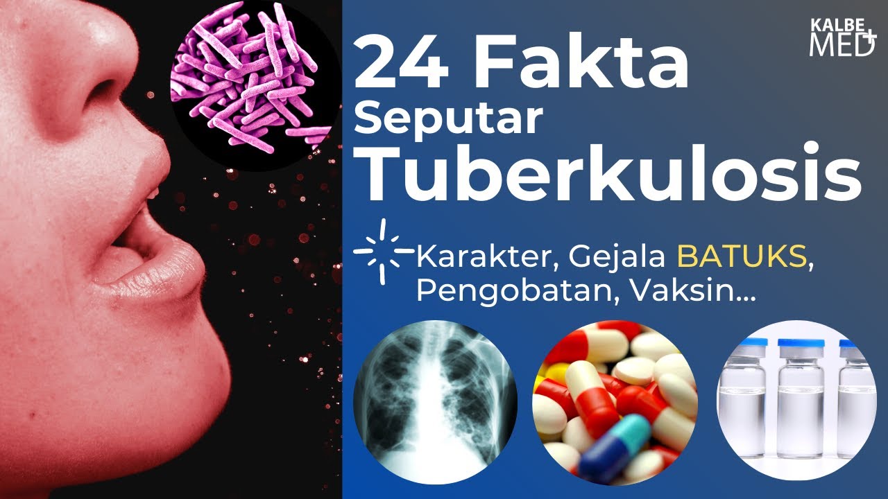 24 факта о туберкулёзе: можно ли его вылечить? Как его предотвратить и лечить?