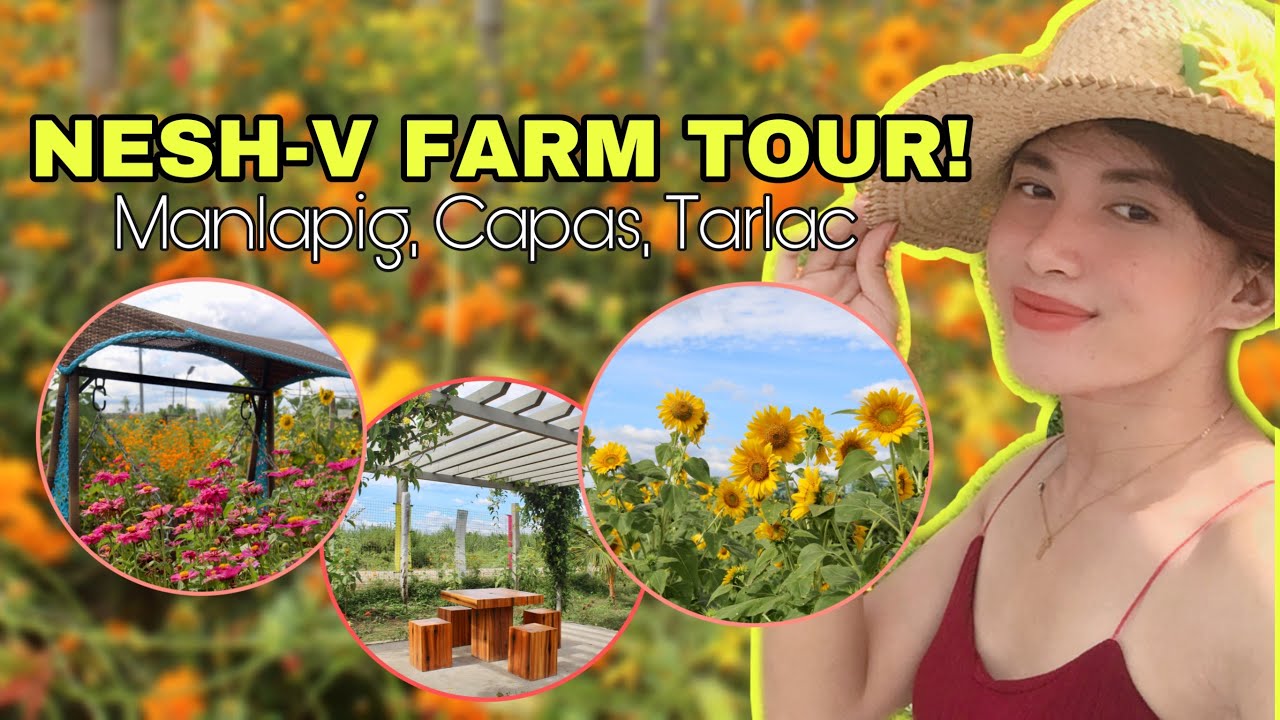SAAN AABOT ANG 50 PESOS MO? | NESH-V FARM TOUR!