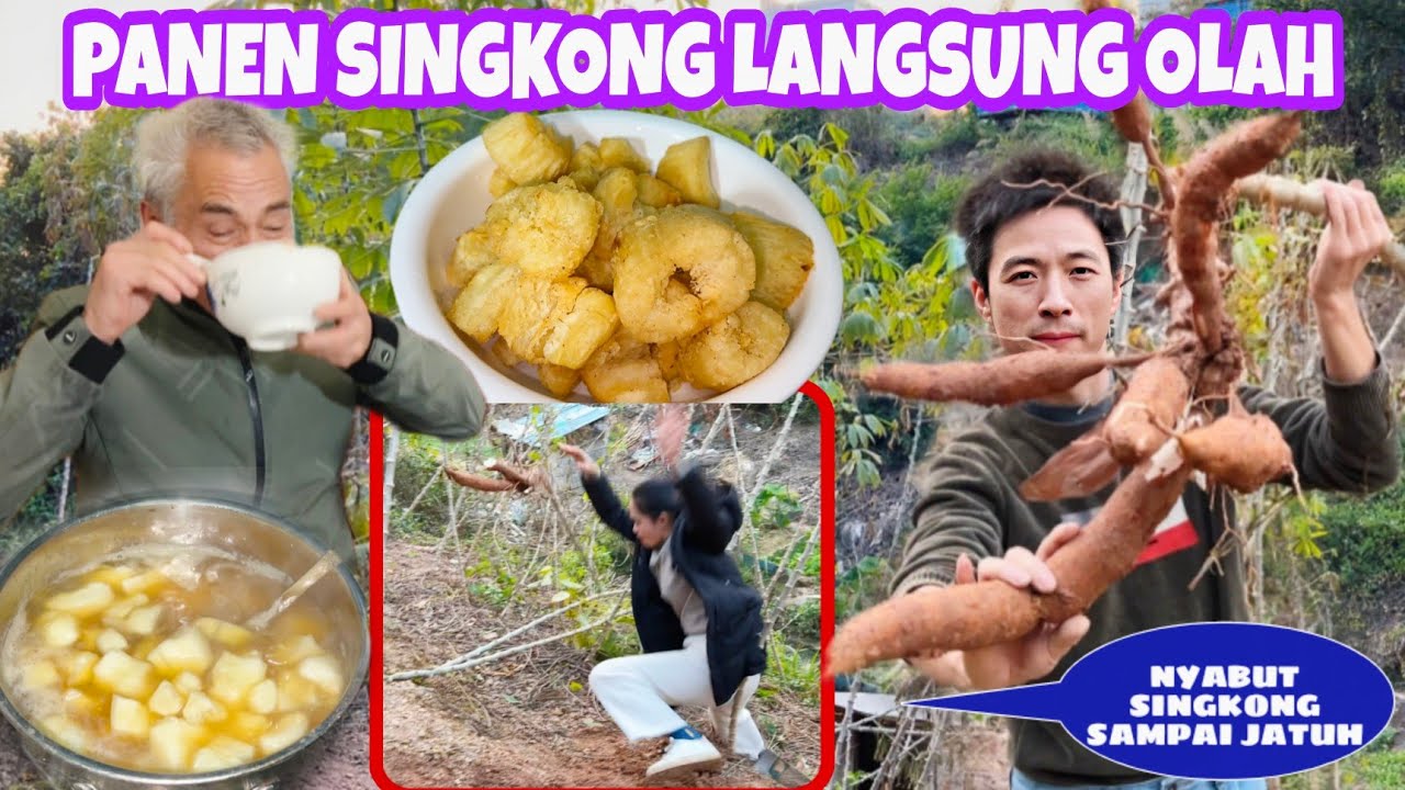 PAPA MERTUA CHINA PERTAMA KALI MAKAN SINGKONG, SINGKONG GORENG MEKAR DAN SINGKONG KUAH MANIS