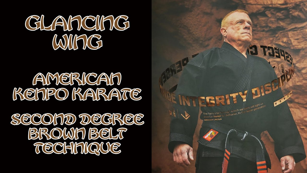 Glancing Wing American Kenpo Karate 2nd Degree Brown Belt