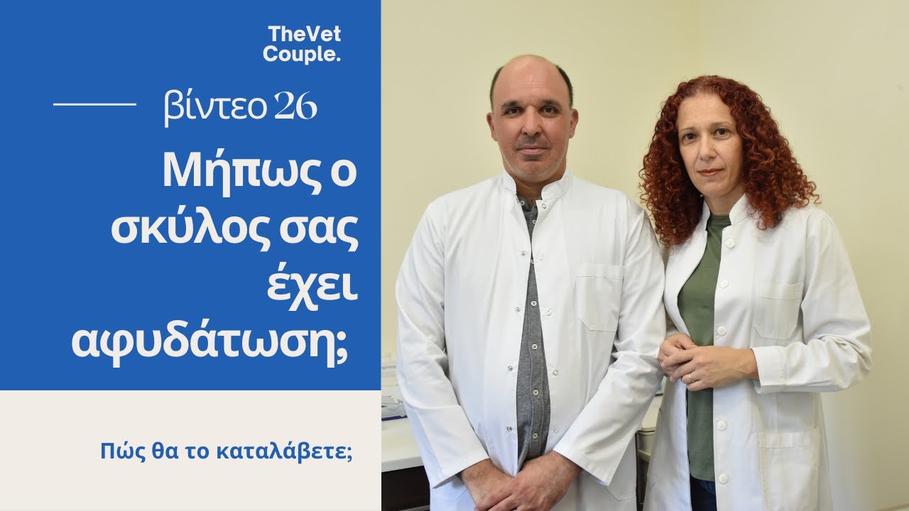 Πόσο νερό χρειάζεται ο σκύλος σας; Πότε παθαίνει αφυδάτωση;