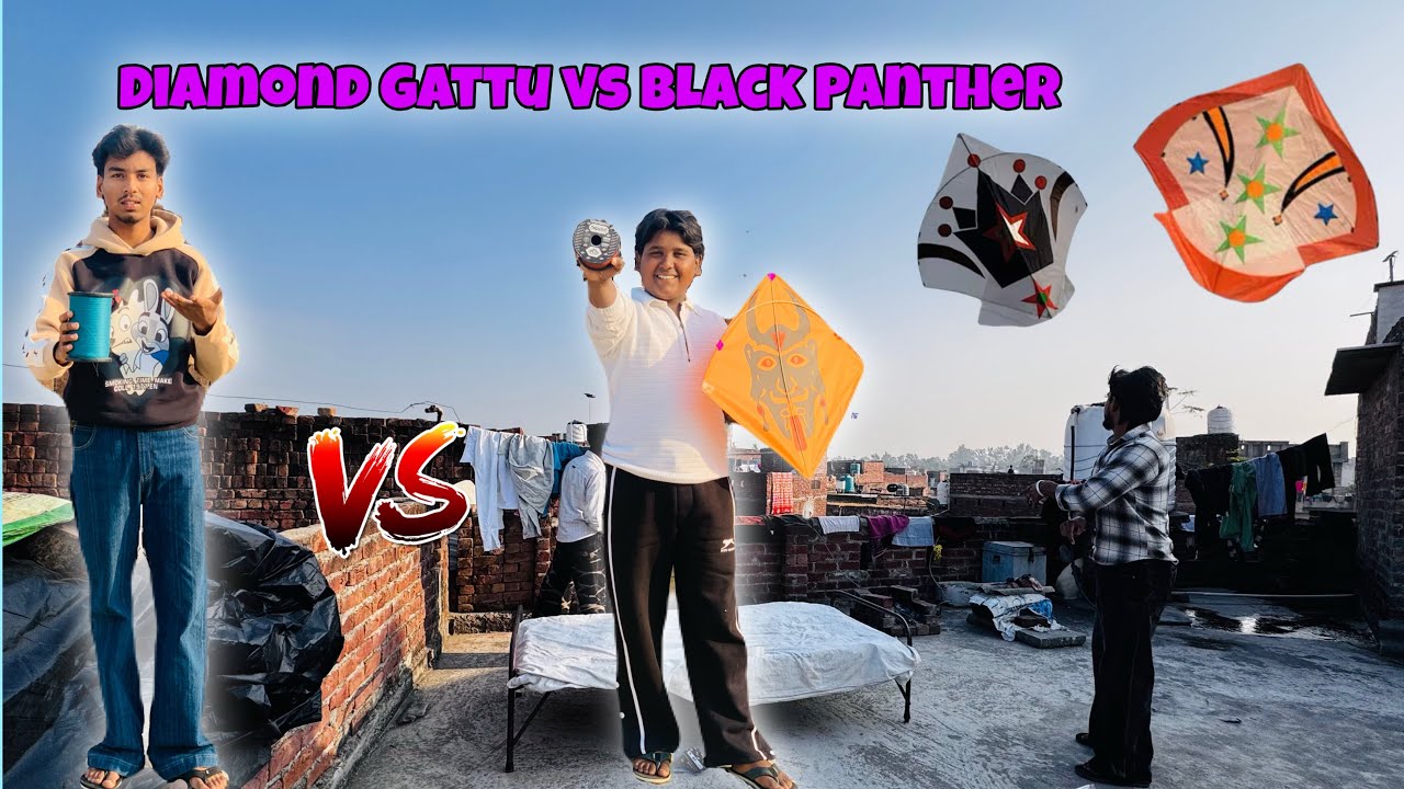 Diamond Gattu vs Black Panther Gattu testing vlog 