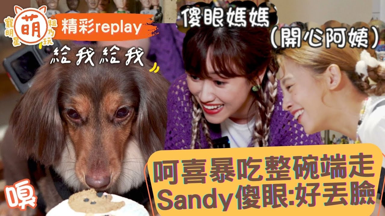 呵喜 暴吃無形象 直接整碗端走！Sandy傻眼:好丟臉！【 萌寵明星粗乃玩 X 精彩replay】