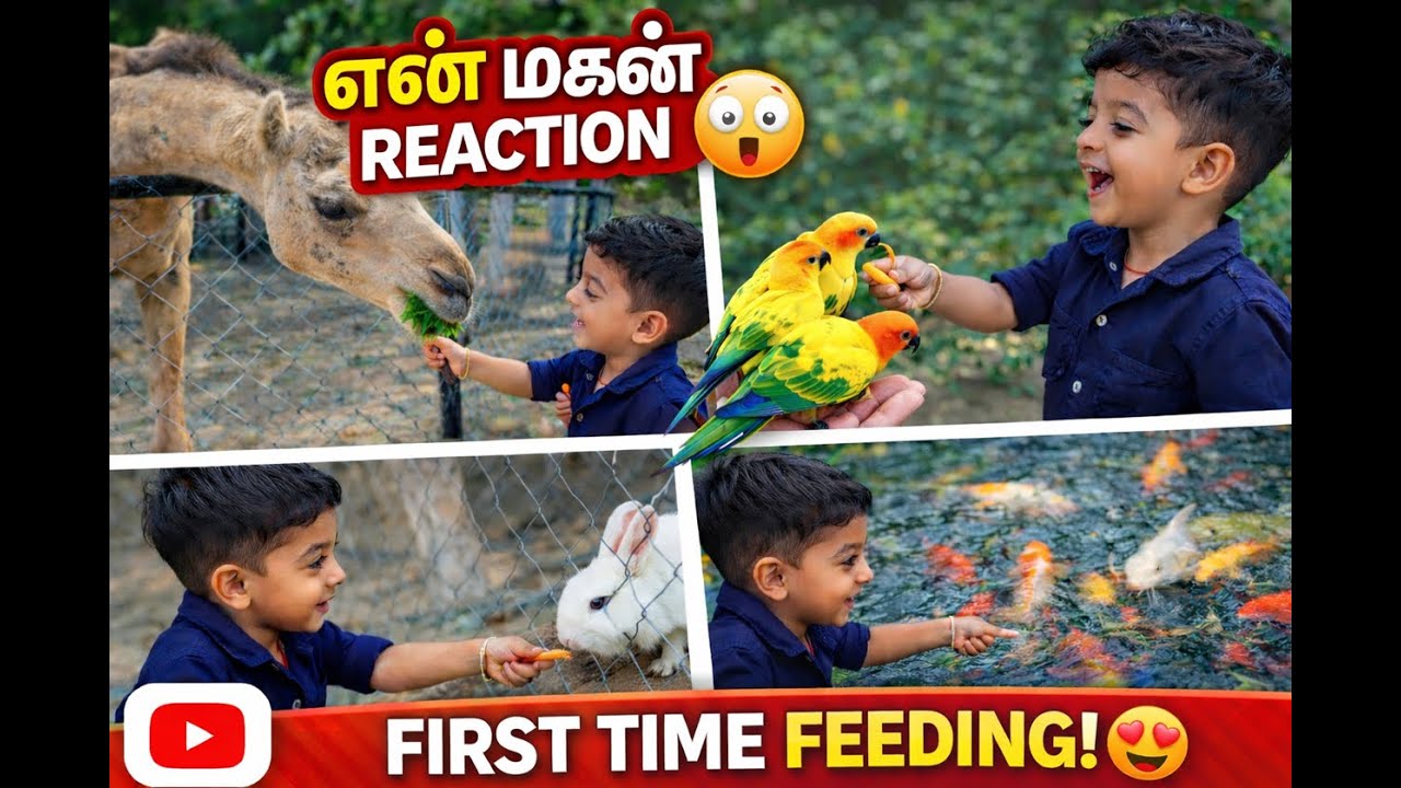 என் மகன் first time-ஆ Pets Park-la feeding animals Semma Excited 😲 | NN Pets Park Trichy | Tamil