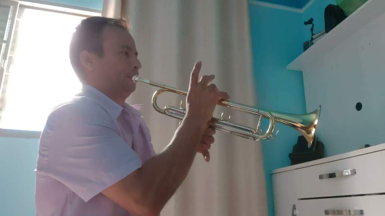 Hino 163. Neste mundo de ilusão. Playback lindo do irmão Fábio 