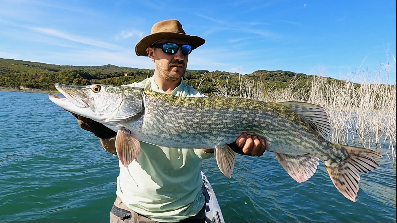 Predatori in Agguato !! LUCCI E PERCA attaccano le mie esche sotto KAYAK - Fishing Karma -