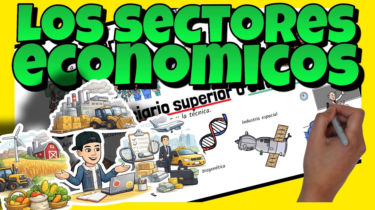 💰 Los SECTORES ECON&Oacute;MICOS | Econom&iacute;a