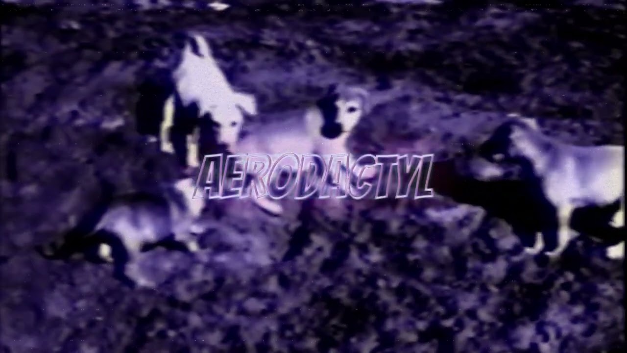 VOYXGE - Aerodactyl | Reincarnation | Official Visualizer