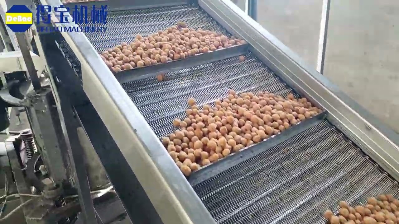 Automatic 800kg/hr fried coated peanuts continuous fryer frying production line