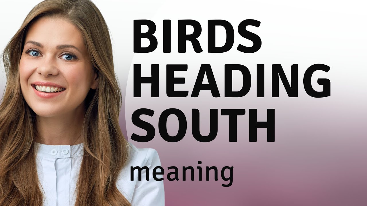 Birds Heading South: A Fascinating Journey Explained