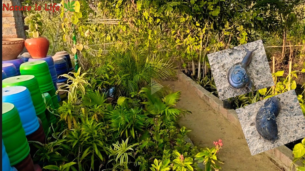 Different Types Of Plants 🤗🌿 Full Nursery Visit ☘️🌺 अजीब तरह का जानवर देखा 😳