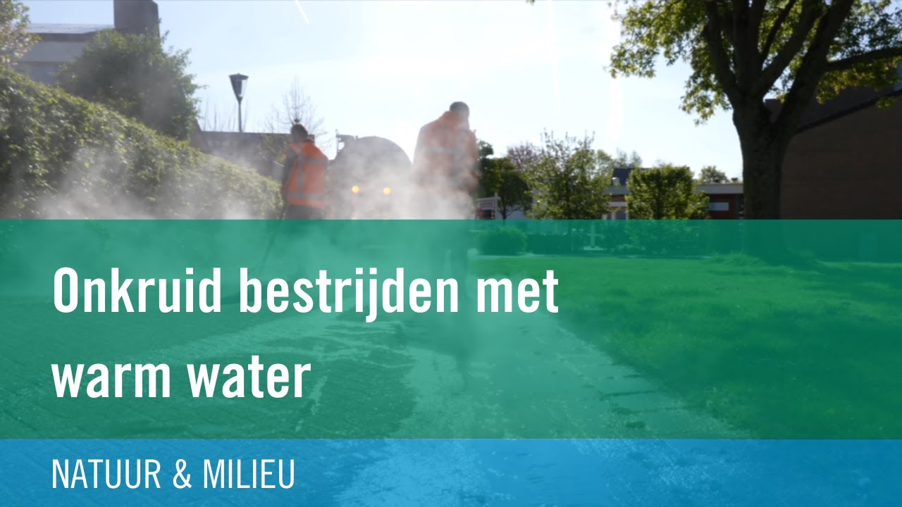 Onkruidbestrijding Udenhout