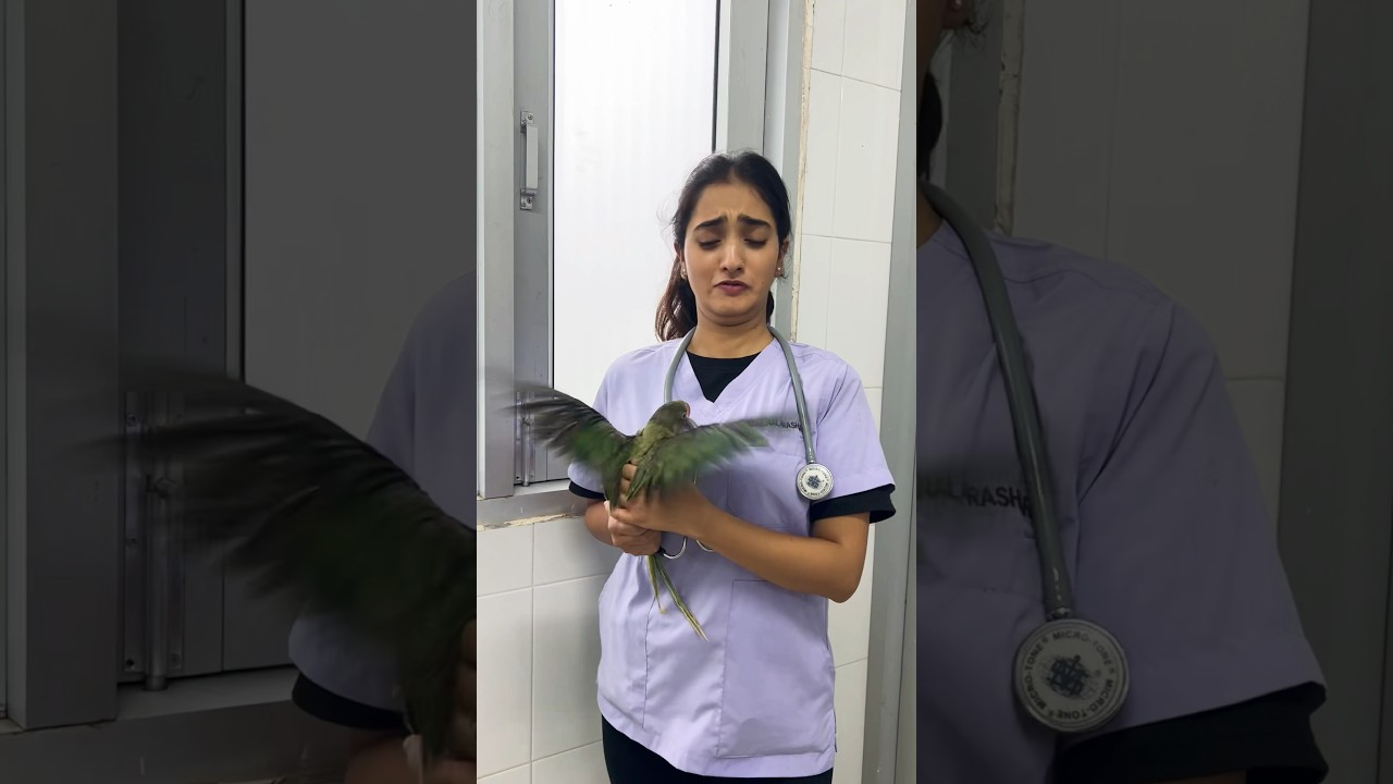 Opportunities in life of vet #veterinary #veterinarymedicine #neetmotivation #trendingshorts