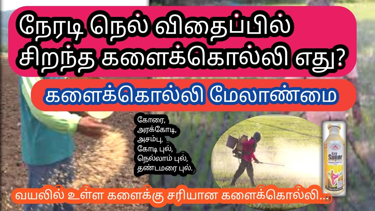 நேரடி நெல் விதைப்பில் சரியான மற்றும் சிறந்த களைக்கொல்லி | Direct seeder rice weed management