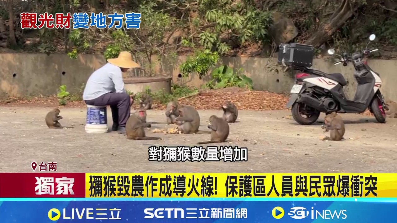三立獨家│