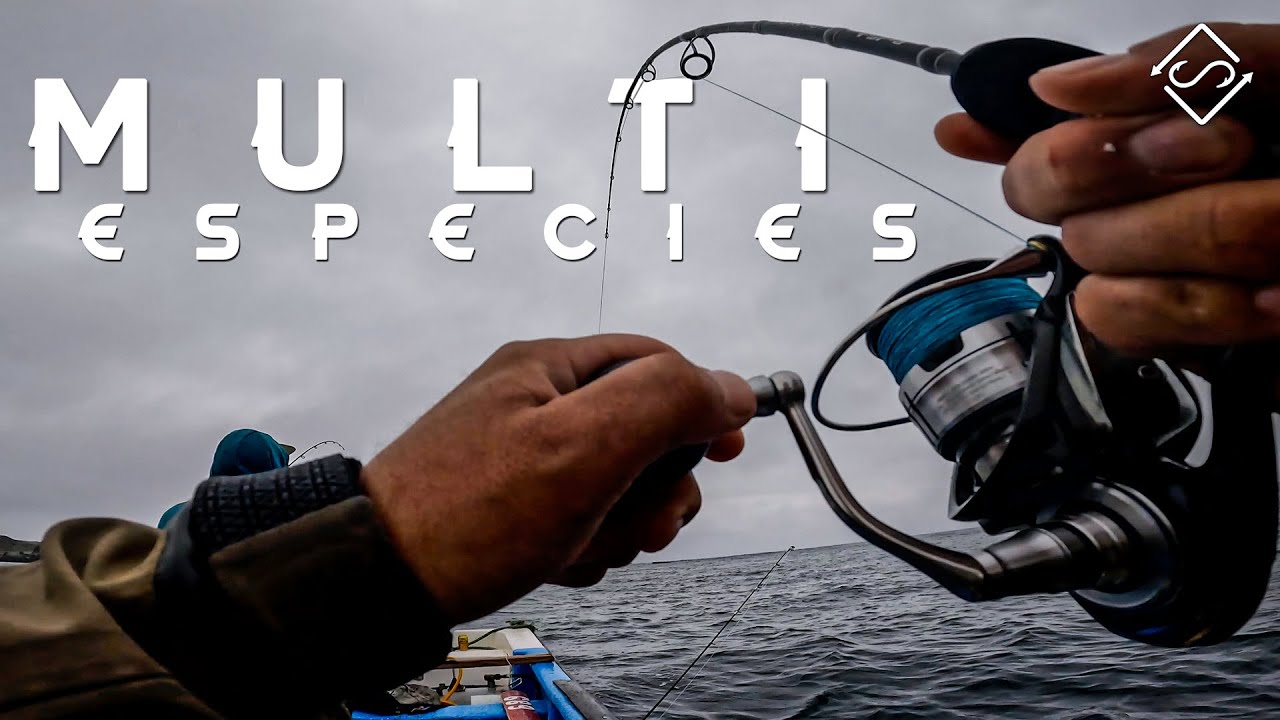 LENGUADOS y SIERRAS - Pesca multi especies embarcado & orilla