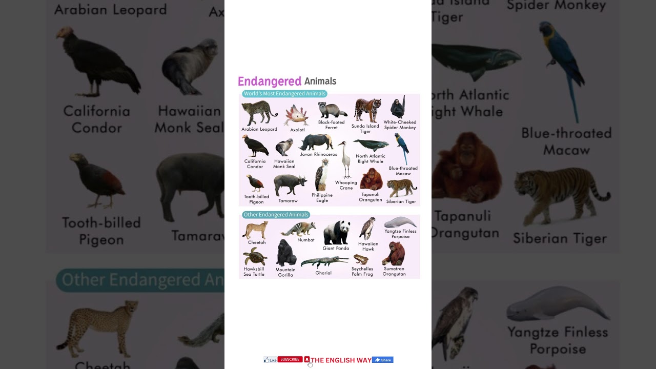 Endangered animals names #shorts #viral #animals