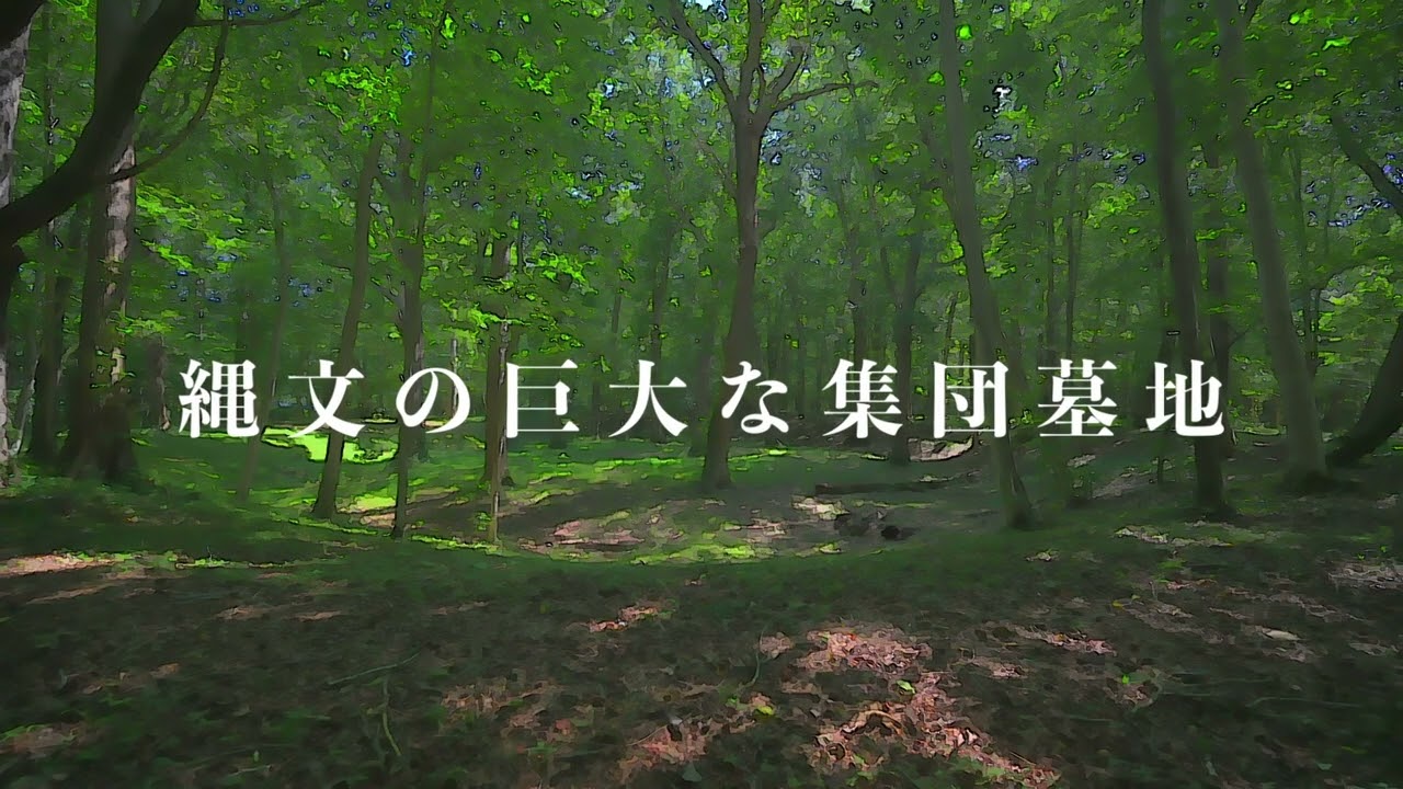縄文遺跡群2025　千歳市(キウス周堤墓群)　最新情報