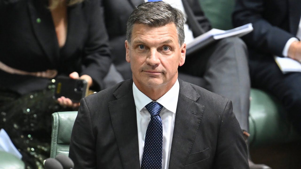 &lsquo;Fighting for survival&rsquo;: Angus Taylor &lsquo;went in very hard&rsquo; against Labor&rsquo;s budget
