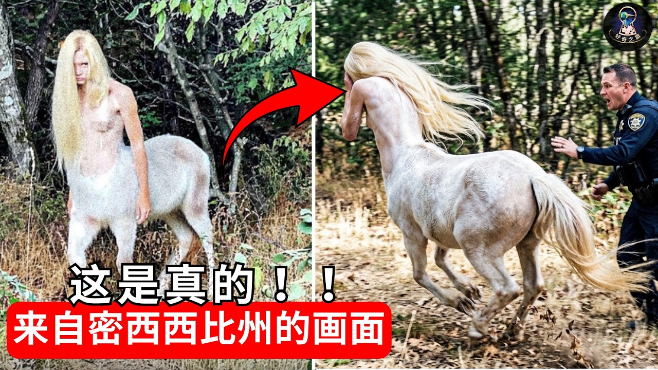 当地人陷入恐慌：密西西比森林惊现神秘生物，已被镜头捕捉！