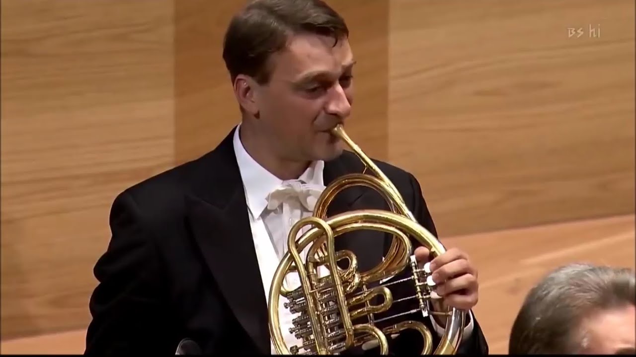 Tchaikovsky's 5th Symphony, Horn Solo