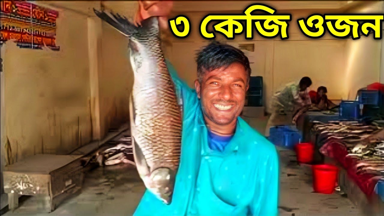 বিশাল বড় Biget মাছ | ৩ কেজি ওজন | Fresh Biget Fish ৳250/kg