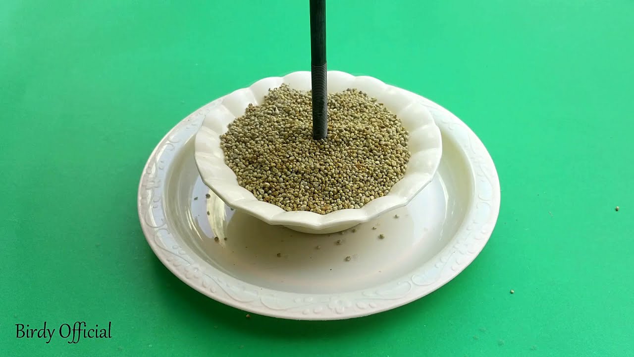 5 Awesome Bird Feeders Plan And Ideas - Best Out Of Waste (Compilation)