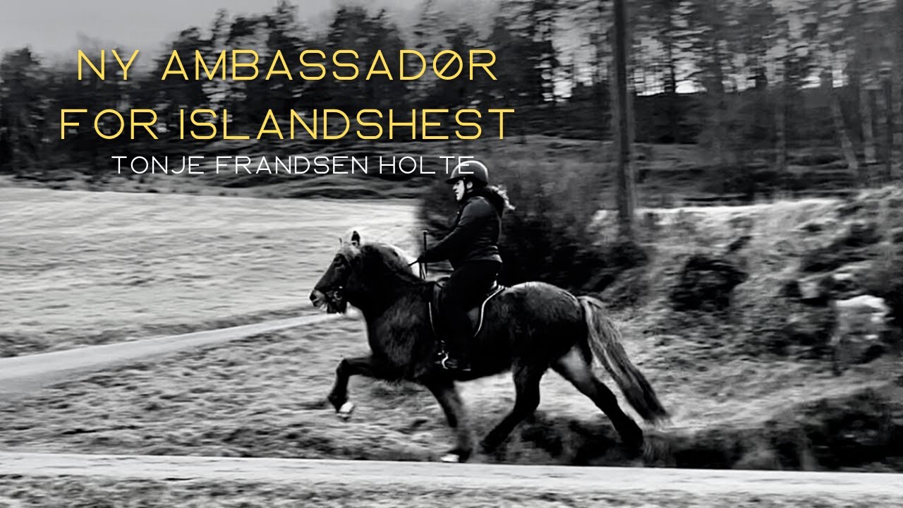 Ny ambassadør for Islandshest | Tonje Frandsen Holte VLOG1