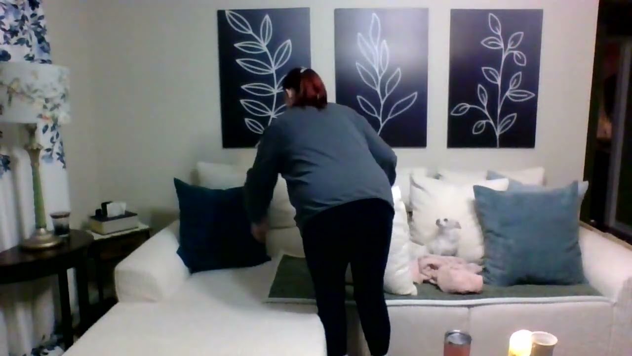 Temu Haul, Upgrading the Boneless Sofa,and more