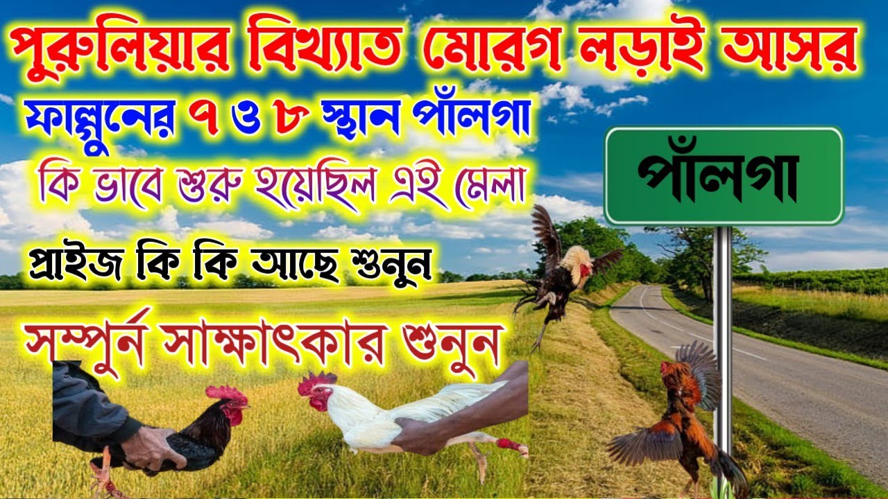 পুরুলিয়ার বিখ্যাত মোরগ লড়াইয়ের আসর স্থান পাঁলগা। ফাল্গুনের ৭ ও ৮ ।কি ভাবে শুরু হয়েছিল এই মেলা।