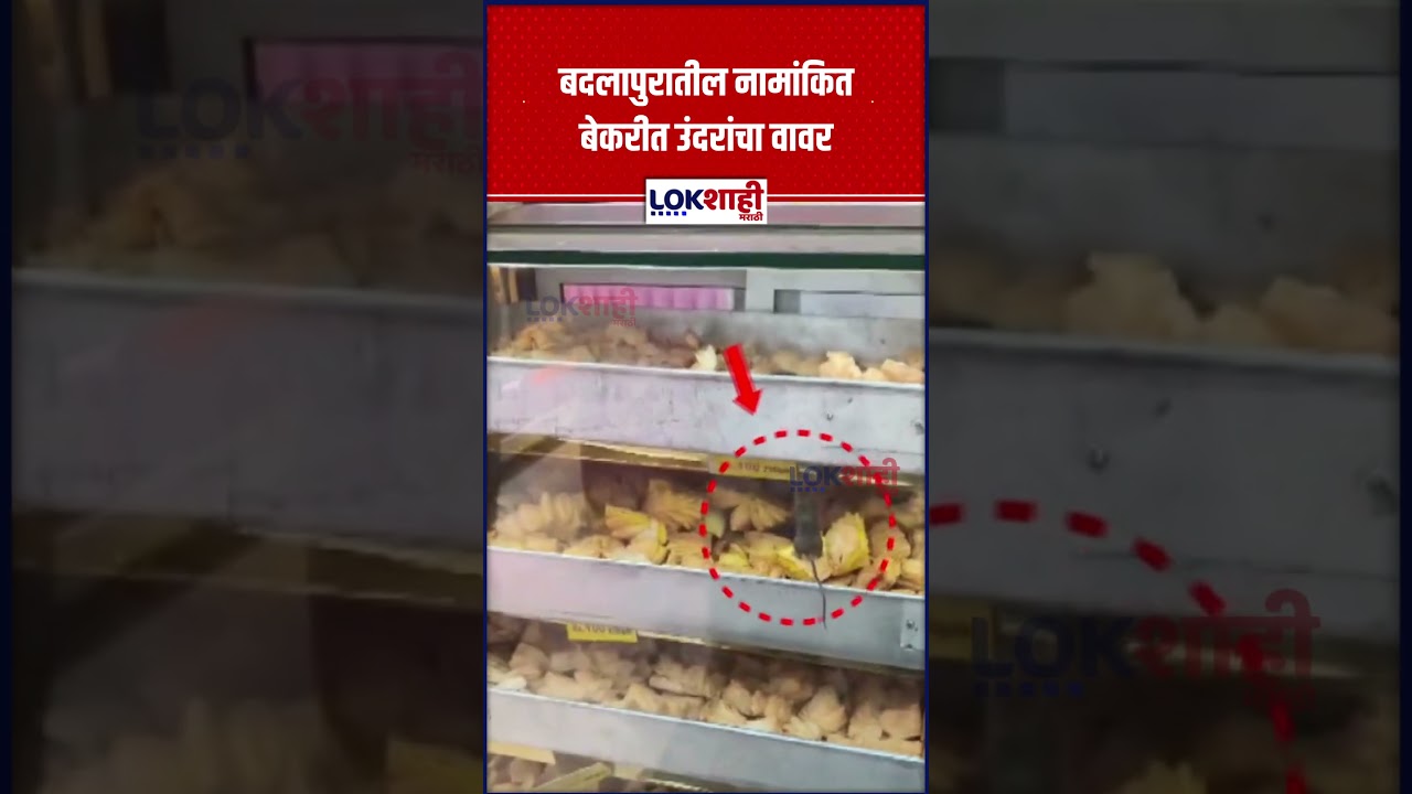 Badlapur: बदलापुरातील नामांकित बेकरीत उंदरांचा वावर...खारीच्या ट्रेमध्ये फिरतोय उंदीर #shorts