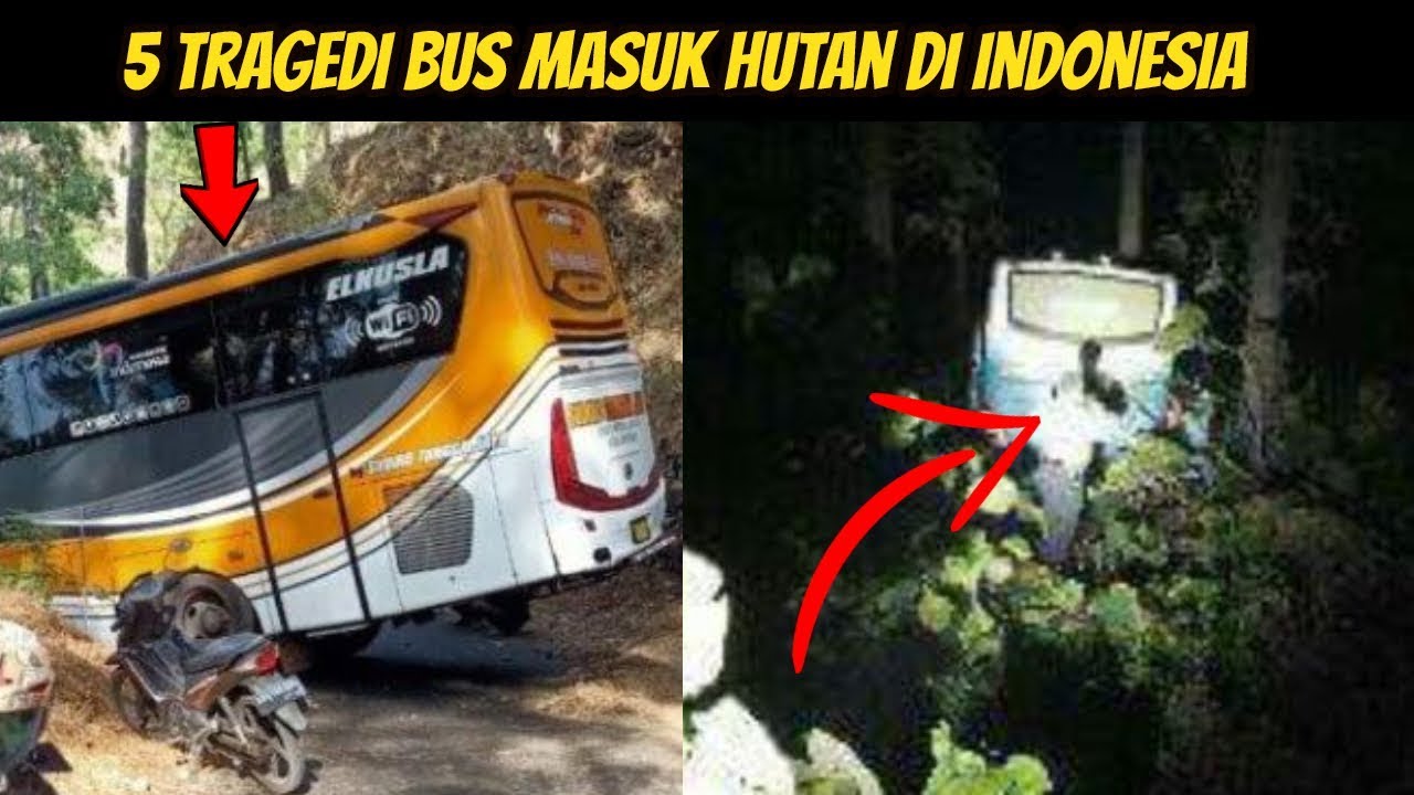5 BUS Nyasar Masuk Hutan di Indonesia