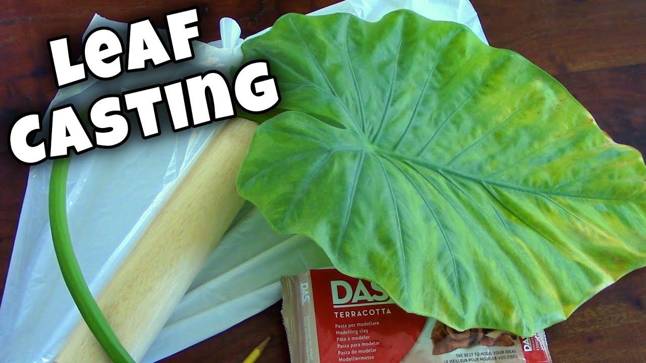 Elephant Ear LEAF CASTING - Air Dry Clay Easier than Concrete!