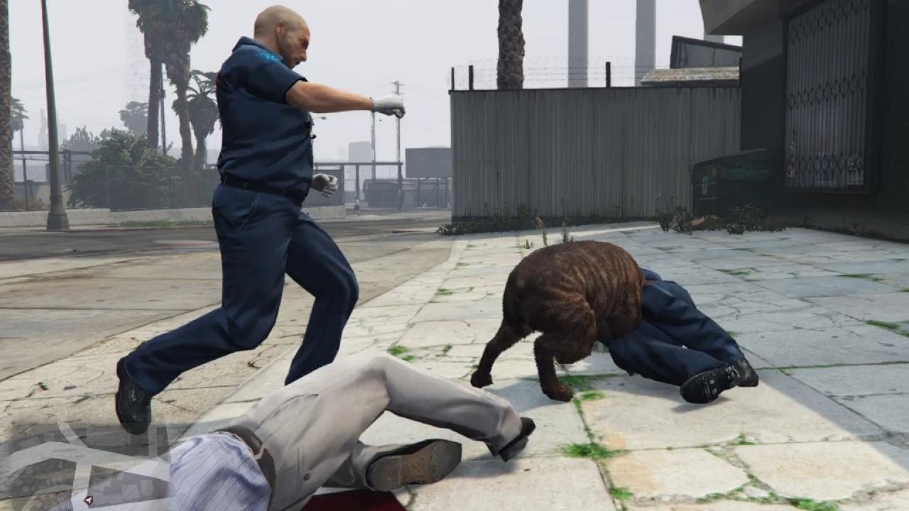 NPC Life: terrorizing the neighborhood as a dog that looks big and fluffy!  😁