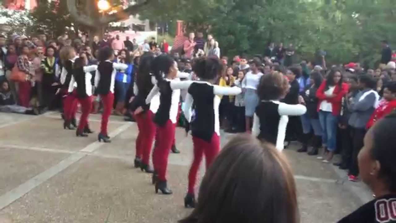 Zeta Psi Fall '14 Yard Show