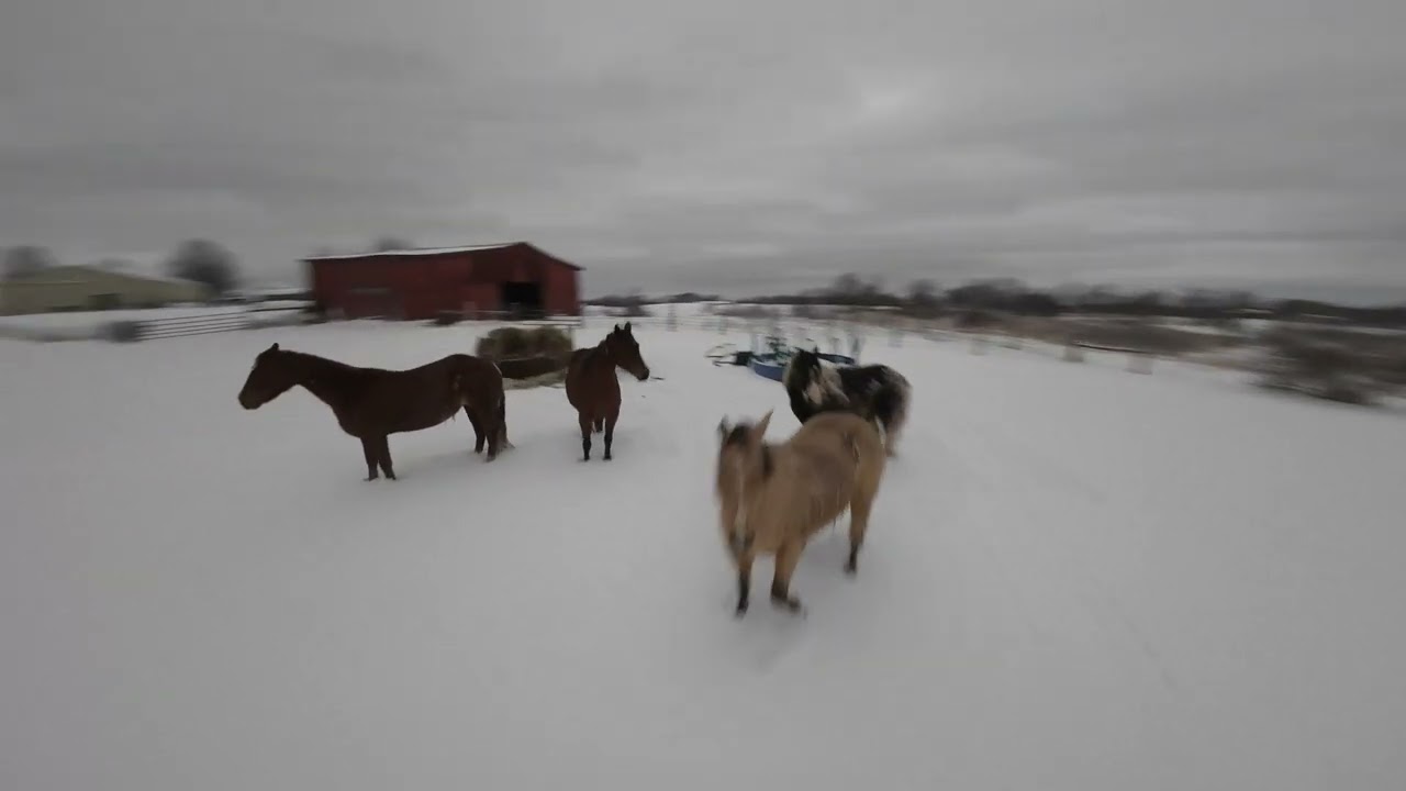 Snow Covered Farm Drone Footage