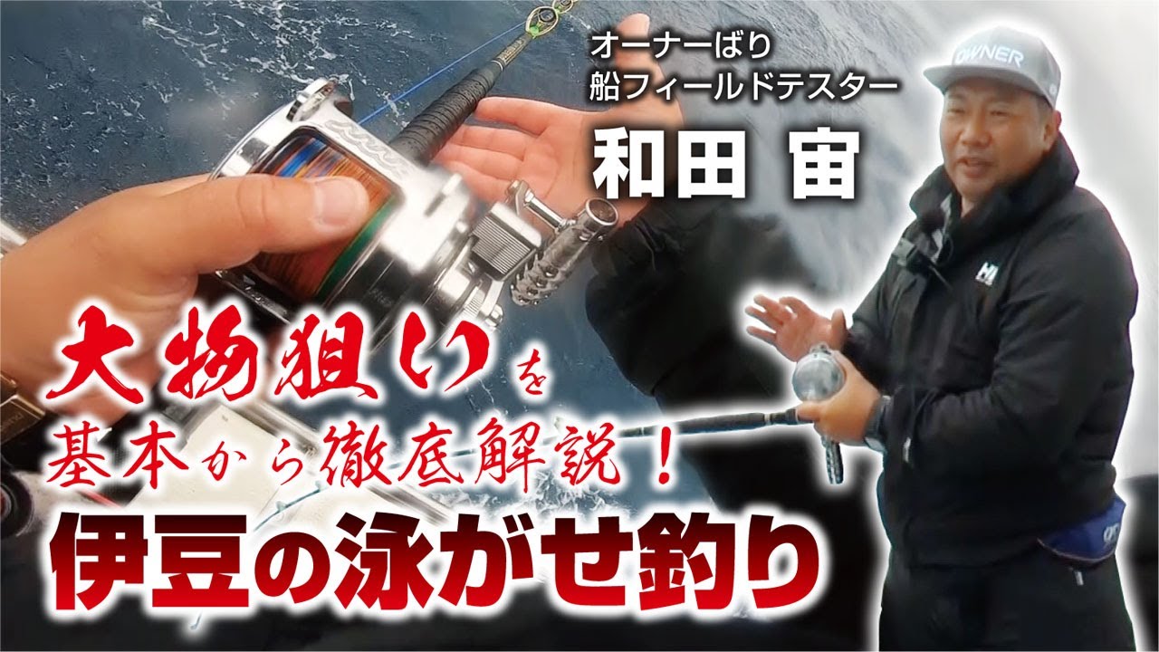 大物狙いを基本から徹底解説！【伊豆の泳がせ釣り】