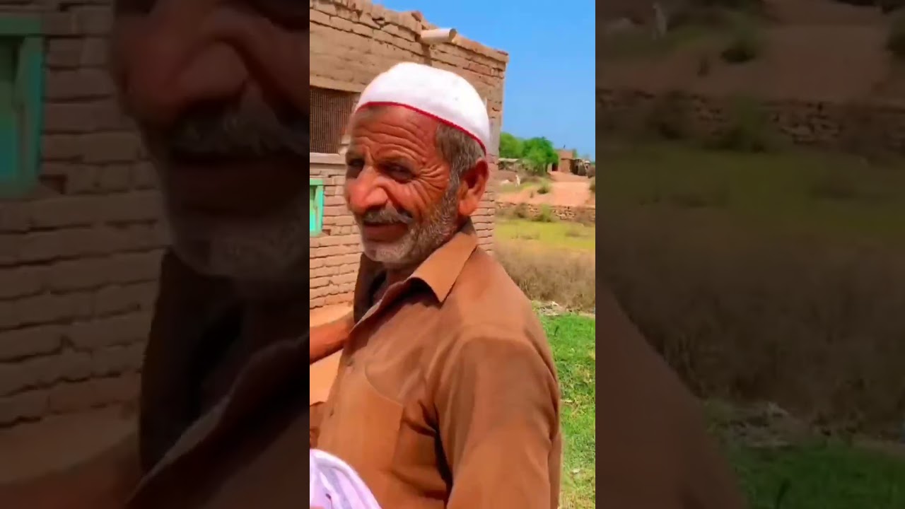 Mashallah Ali bhai poultry farm sargodha