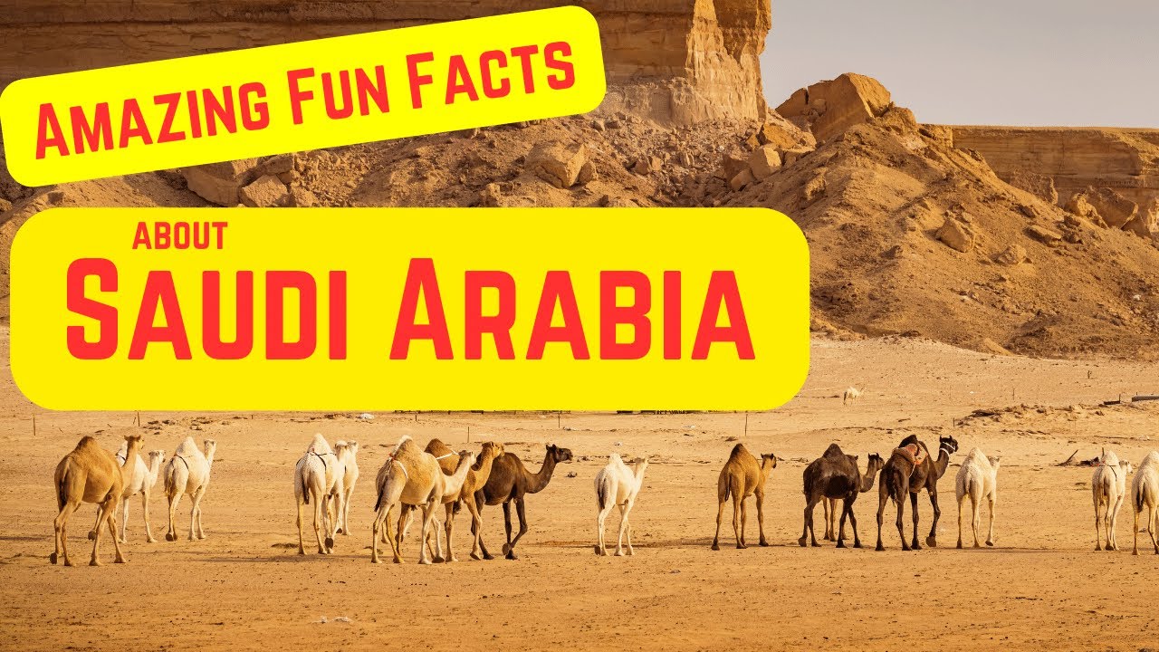 Amazing Fun Facts about Saudi Arabia