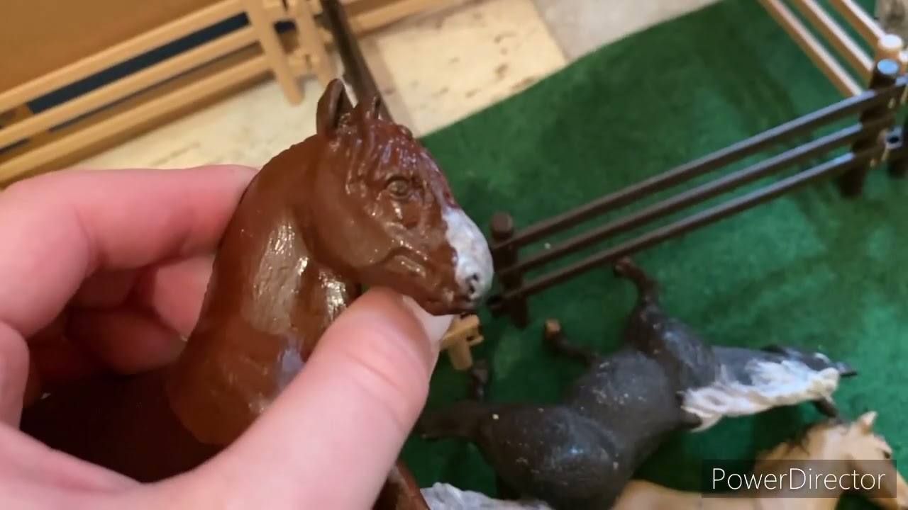 Schleich Pferd🐴 ab in deine Box📦