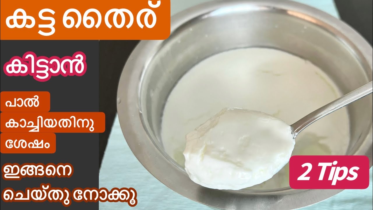 ഈ രണ്ടു കാര്യങ്ങൾ ശ്രദ്ധിച്ചാൽ നല്ല കട്ട തൈര് വീട്ടിലുണ്ടാക്കാം//Homemade Thick Curd//Thick Yoghurt