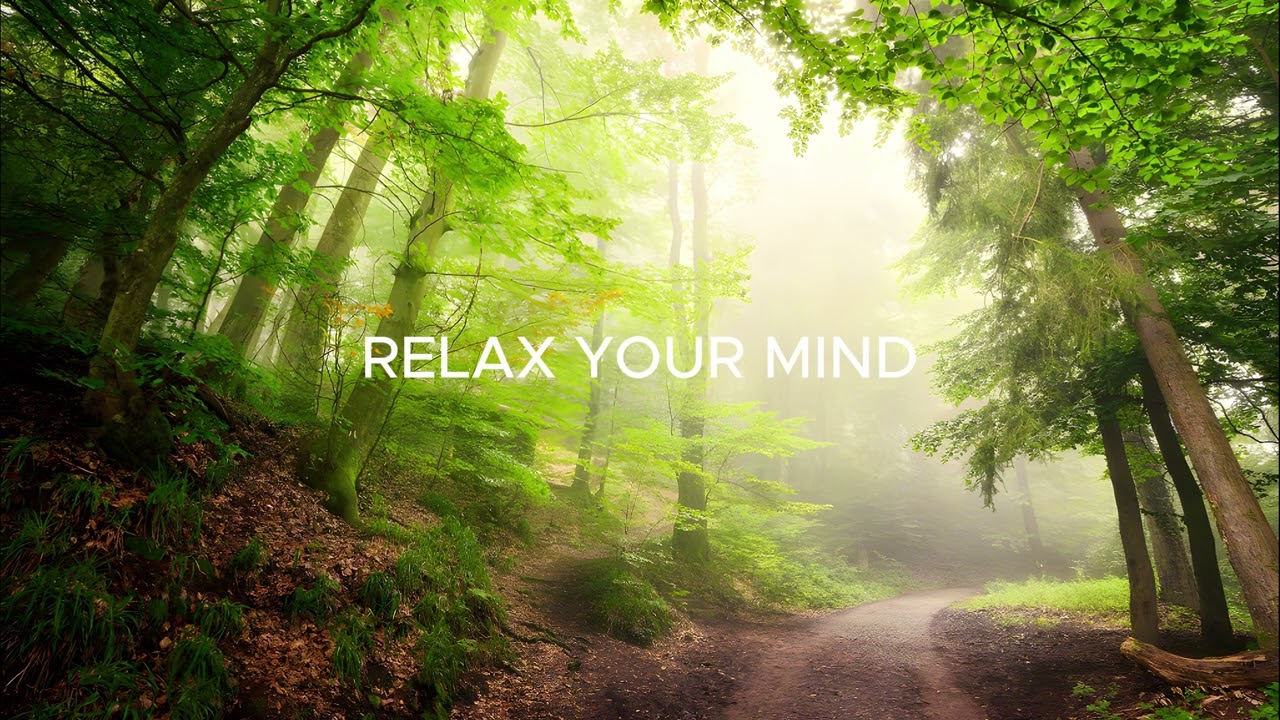 Relax your Mind | Relaxing Music to Study | Ambient Sounds for Deep Work