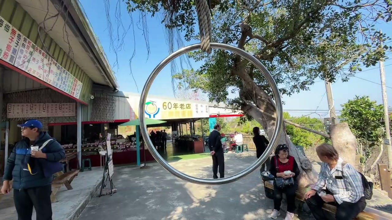 梅山公園-尚未盛開梅花